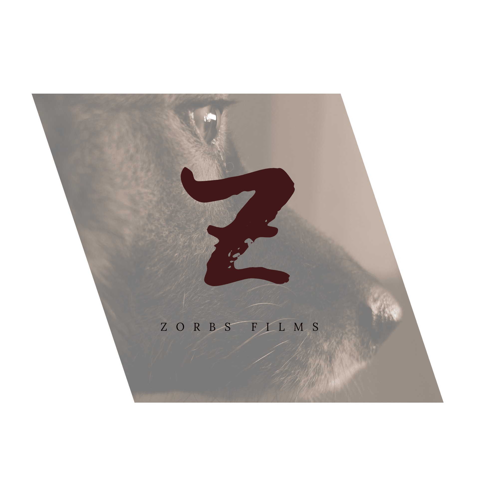 ZOrbs Films - Image 1